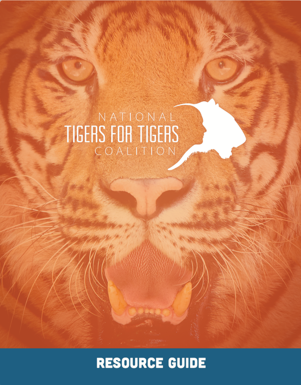 T4T Student Resource Guide